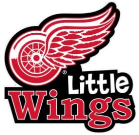 Little Wings X